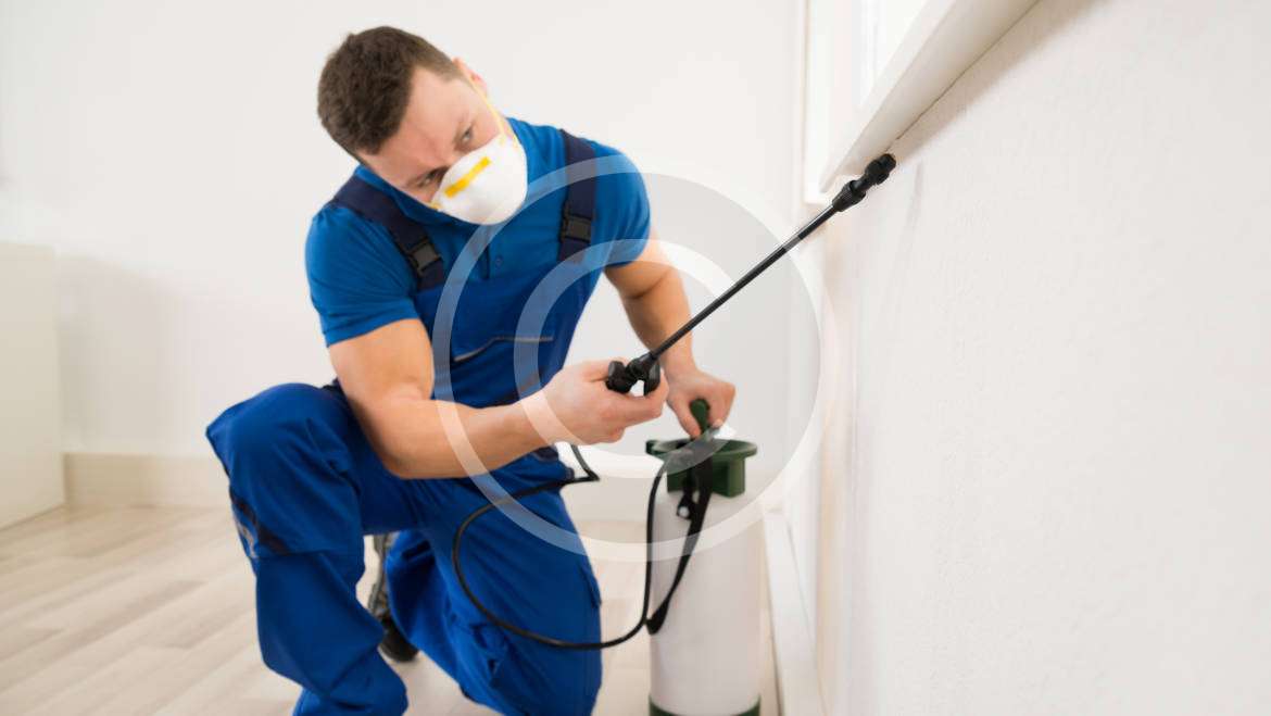 Licensed & Experienced