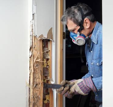 Termite Extermination