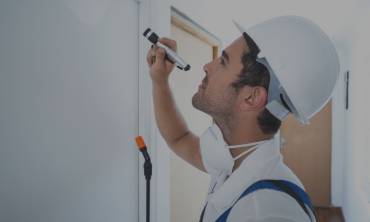 Domestic Pest Control