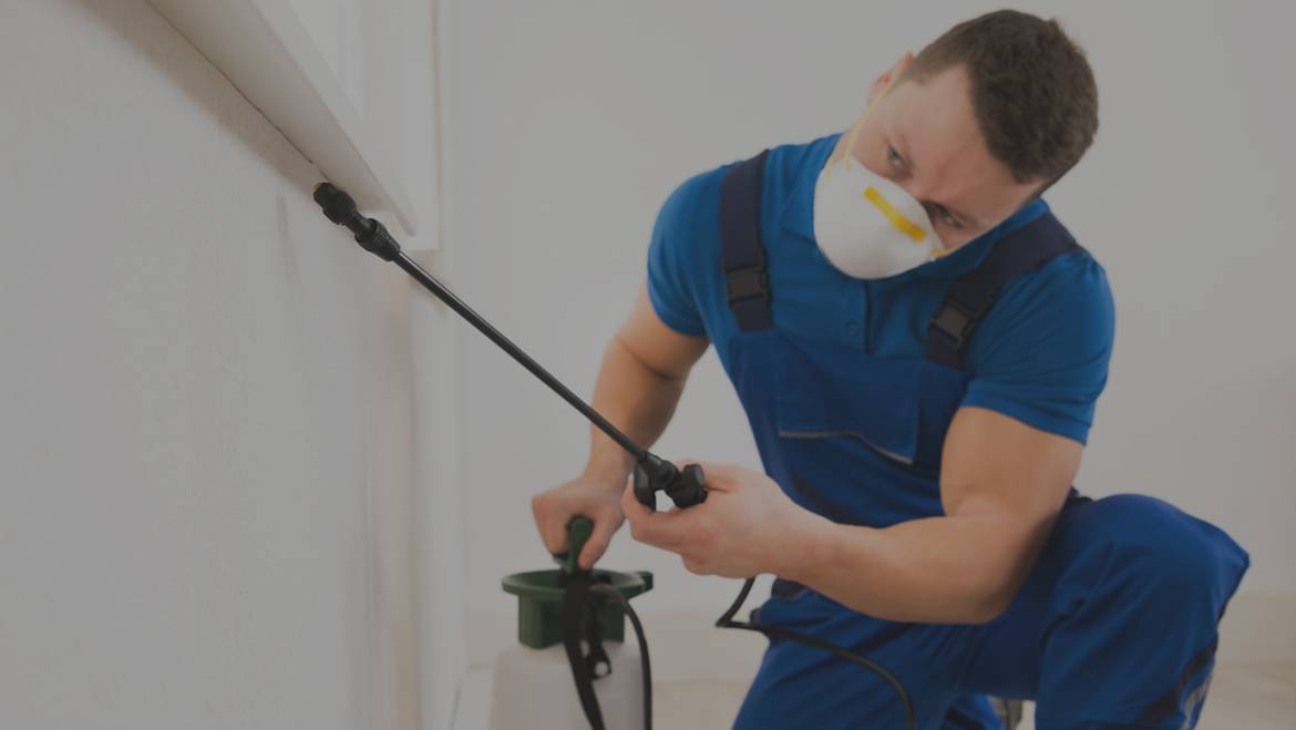 Commercial Pest Control