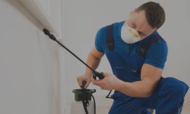 Commercial Pest Control